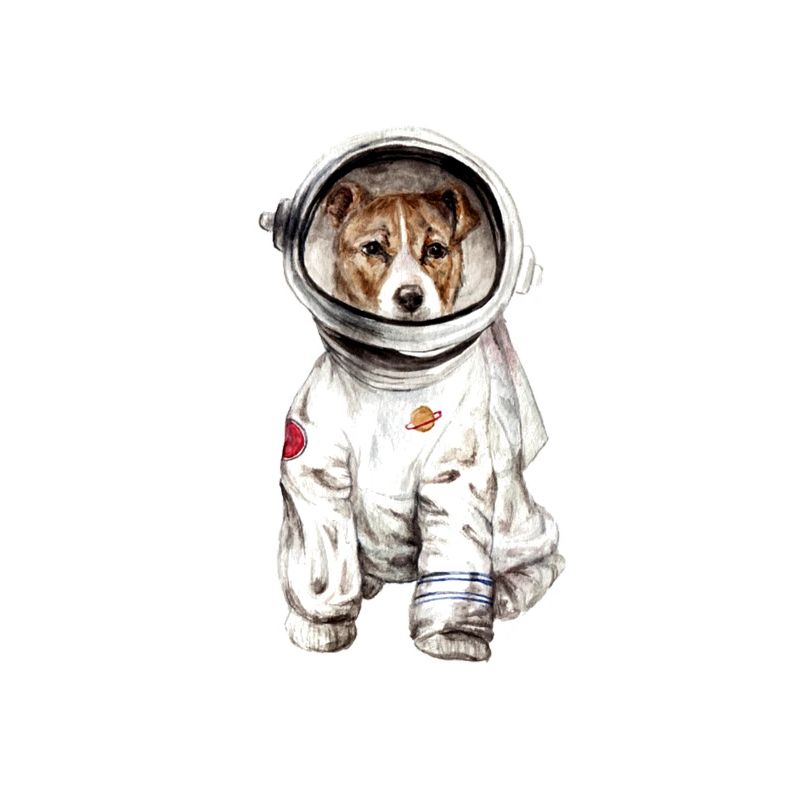 Chien en combinaison spatiale Spatiale Spatiale