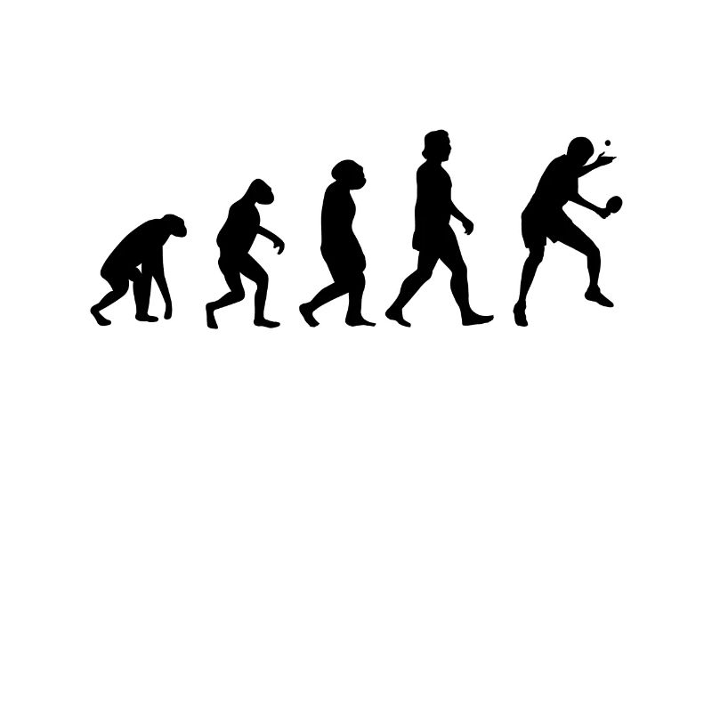 Ping-pong Evolution Raquettes de ping-pong
