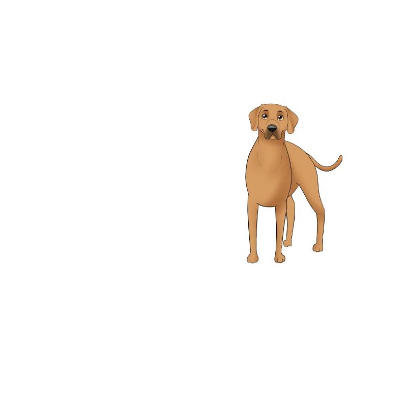 Rhodesian Ridgeback Glücklich Rhodesian Ridgeback