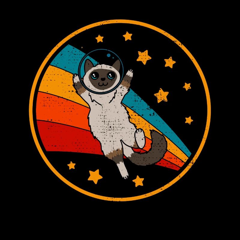 Birma Birma Katze Space Cat