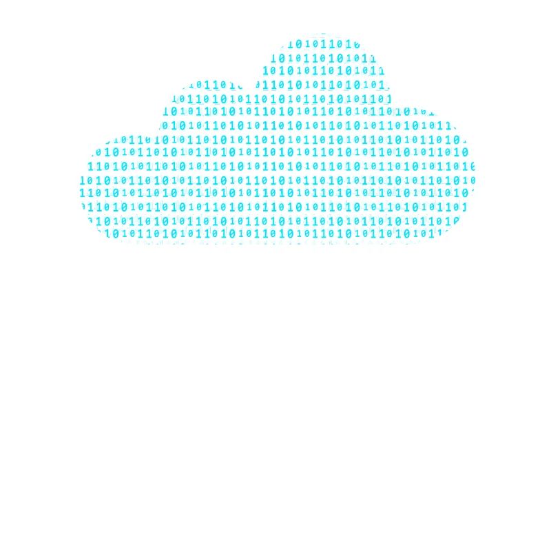 Software Engineer Binary Codes