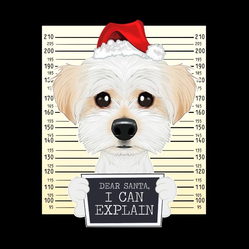 Dear Santa I Can Explain Maltese Christmas