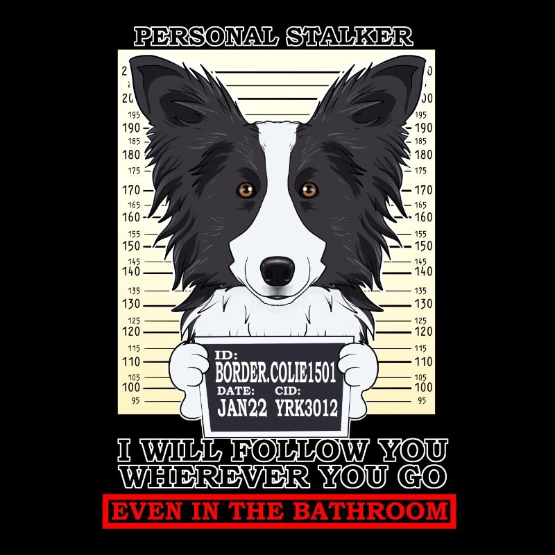 Border Collie Personal Stalker Suivez-vous