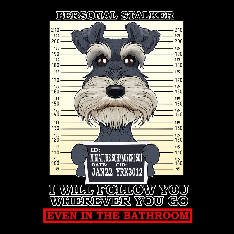 Personal Stalker Miniature Schnauzer