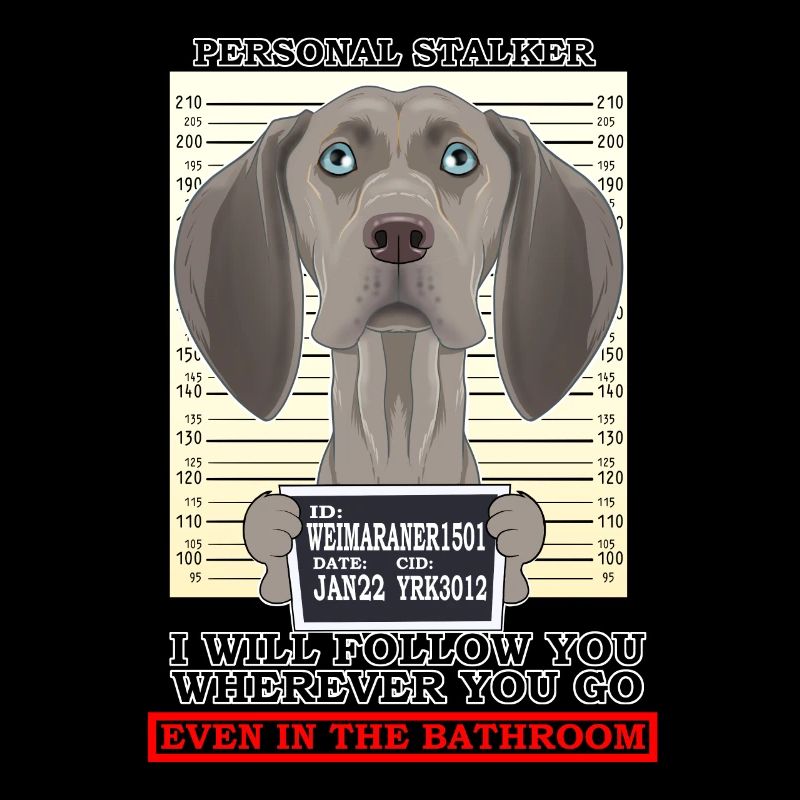 Weimaraner Personal Stalker Ill Suivez-vous
