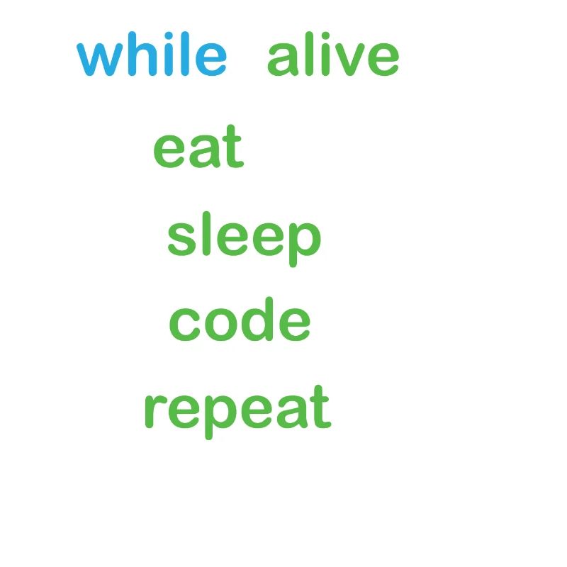 Python Coding Software Developer