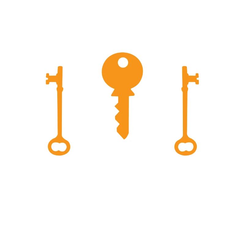 Professional locksmith locksmith lock