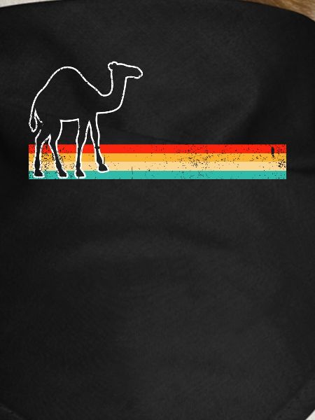 Dromedary Retro