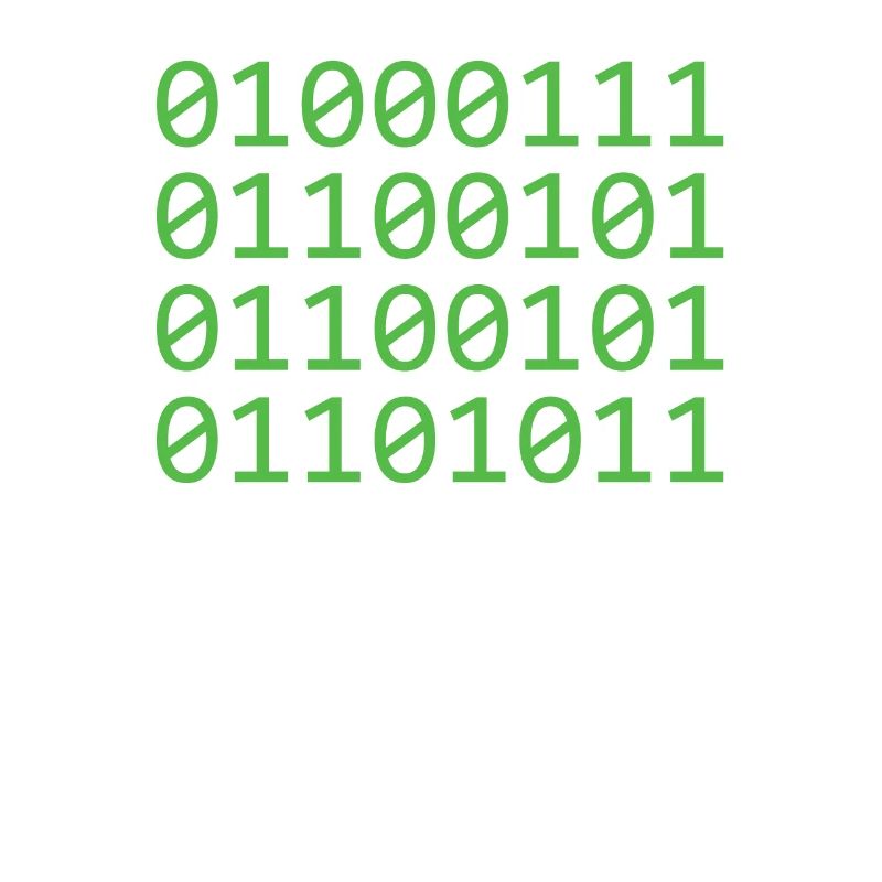 Programmer Coder Software Developer