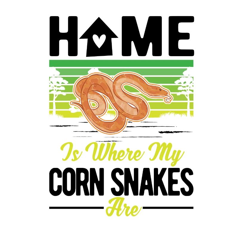 Corn Snake Home Corn Snake