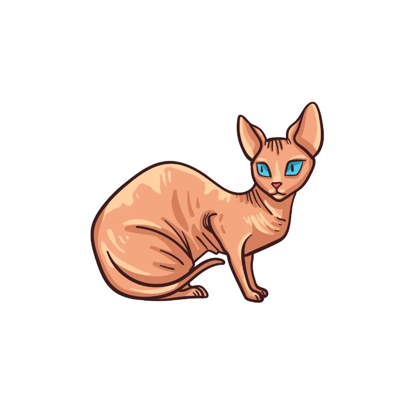 Sphynx Chat Sphinx Chaton sans poils Egypte