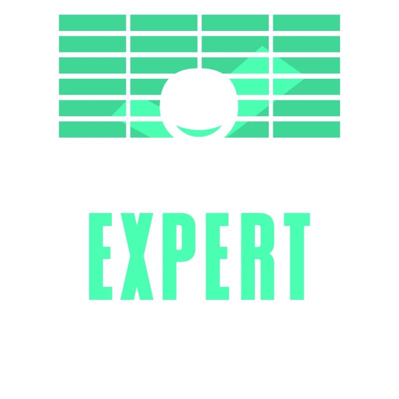 Spreadsheet Experte Buchhalter Tabelle Arbeit