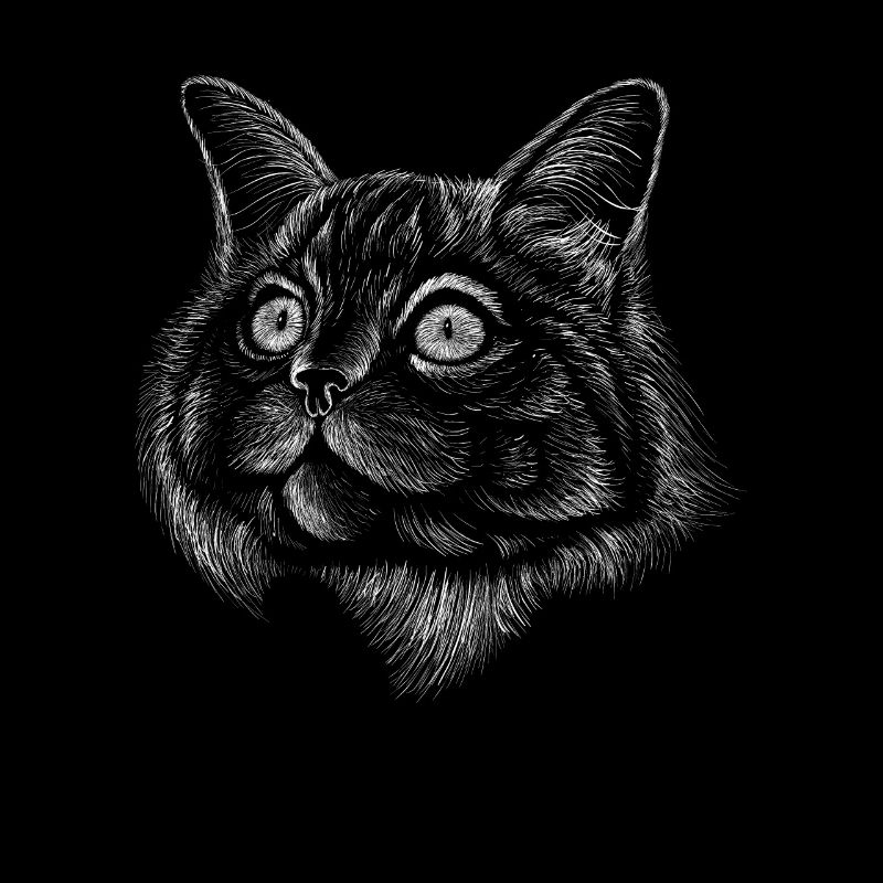 Trait de chat Lignes de dessin réalistes