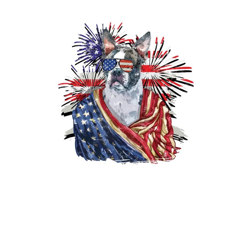 Boston terrier représentant les couleurs du drapeau des États-Unis avec