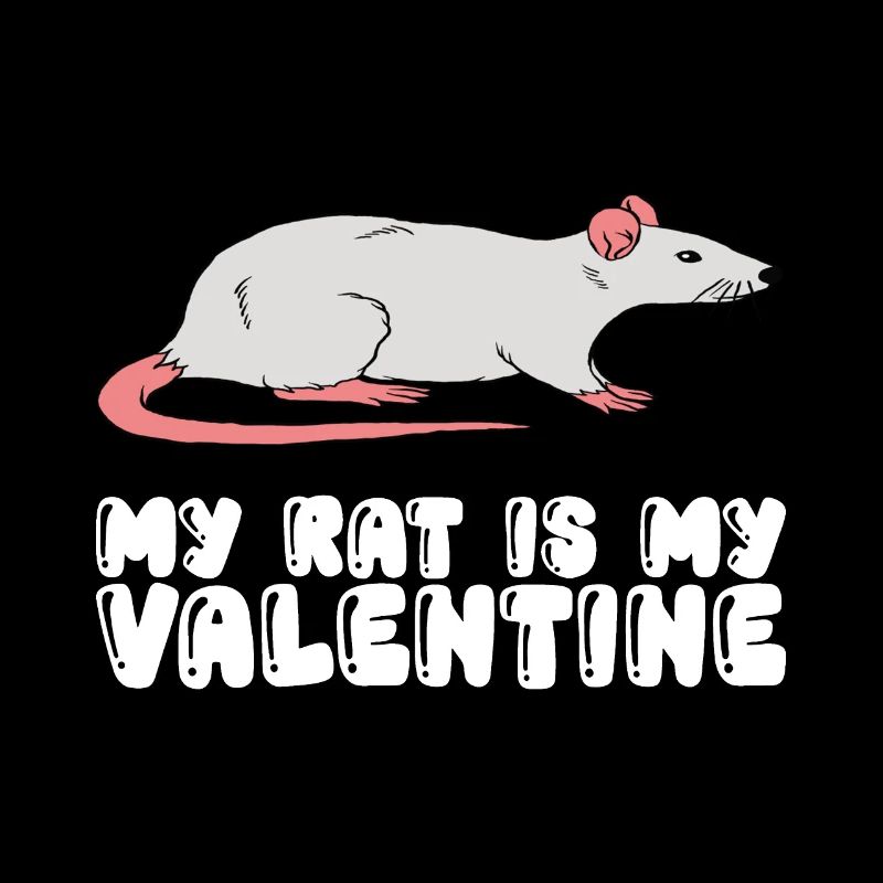 Mon rat est mon préféré