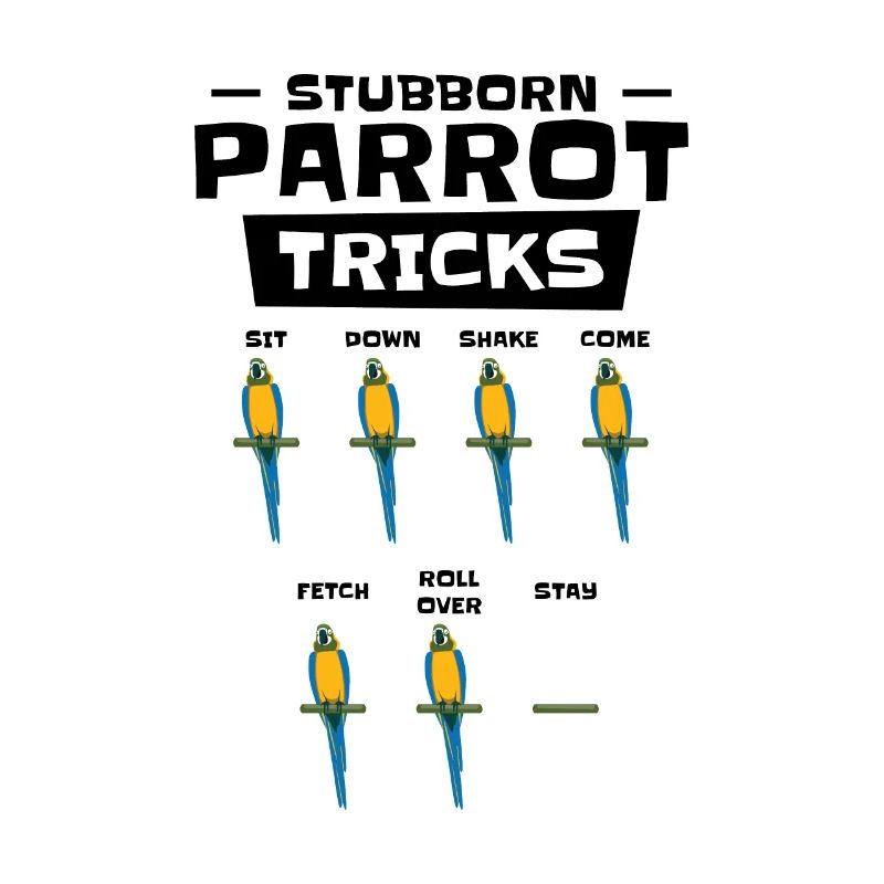 Ara Birdnerd Pet Tricks Perroquet persistant