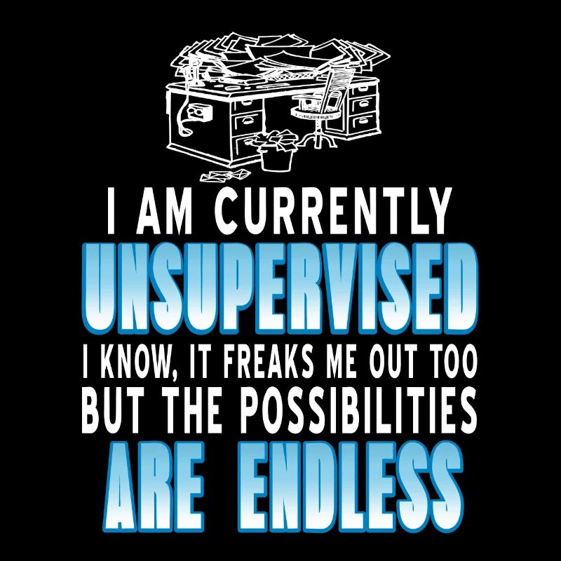I Am Currently Unsupervised Funny Work At Home