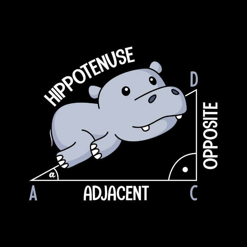 Mathematics Hippotenuse fun math