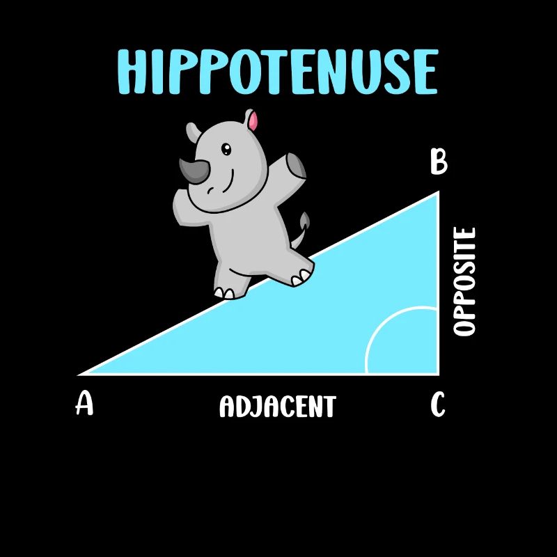 Hippotenuse Math Teacher Mathematician