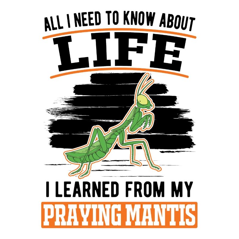Praying mantis mantis mantis mantis