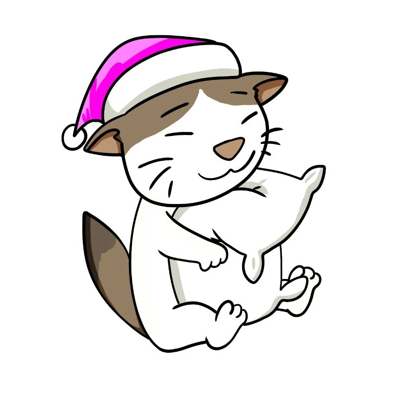 Chat race de chat RagaMuffin