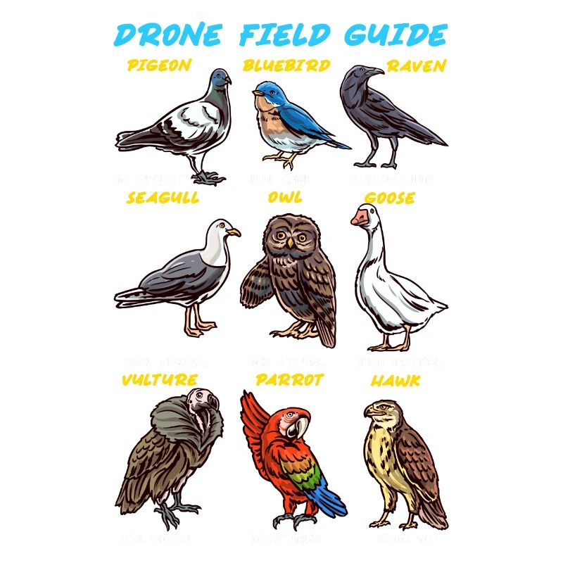 Bird Guide Drones Ducks Parrots Owls