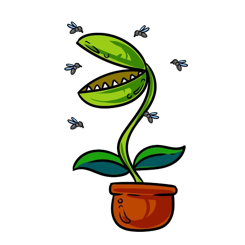 Venus Flytrap Plant