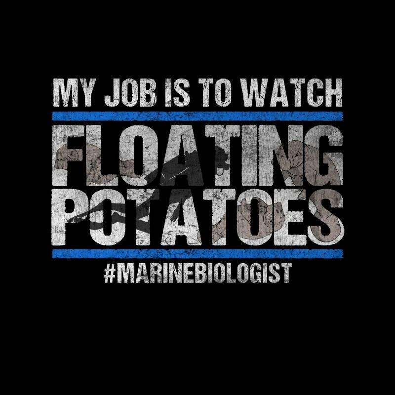 Manatee Manti floaty potatoes