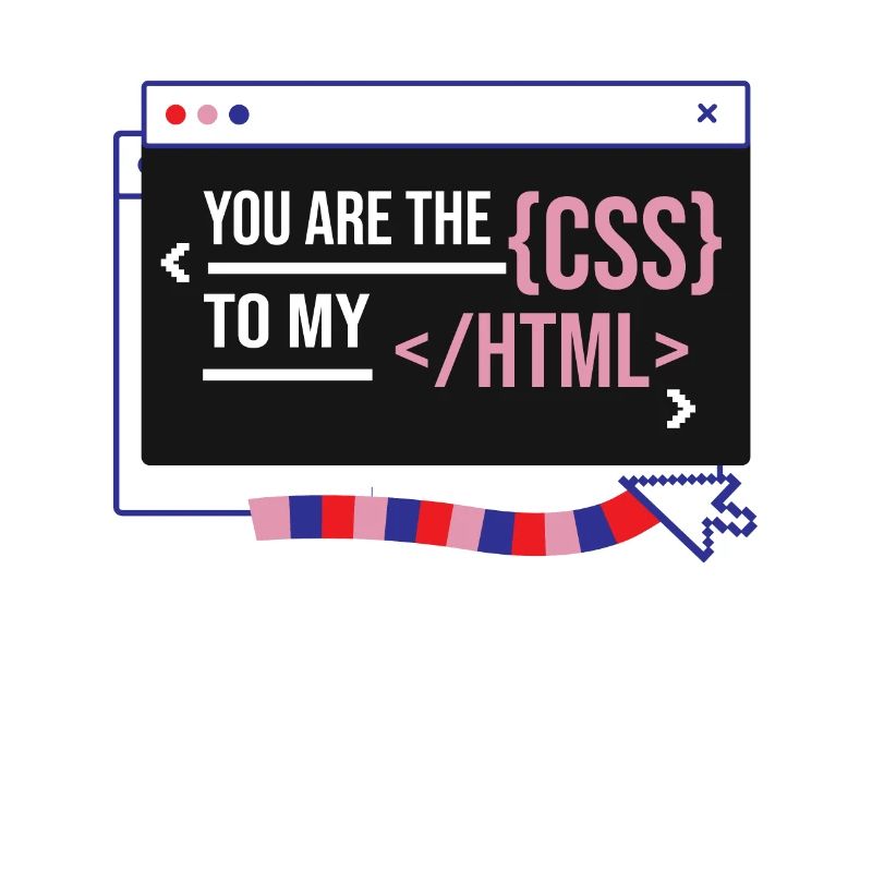 Software Developer Engineer