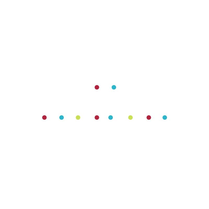Web Entwickler Webdeveloper Web-Entwickler