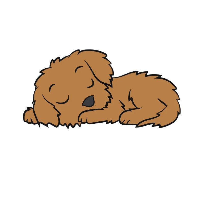 Cockapoo Pyjama Cute Cockapoo Hund Schlafen