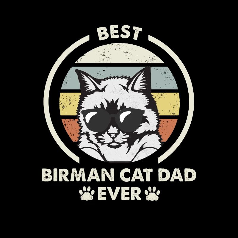 Papa chat - Birman Katze