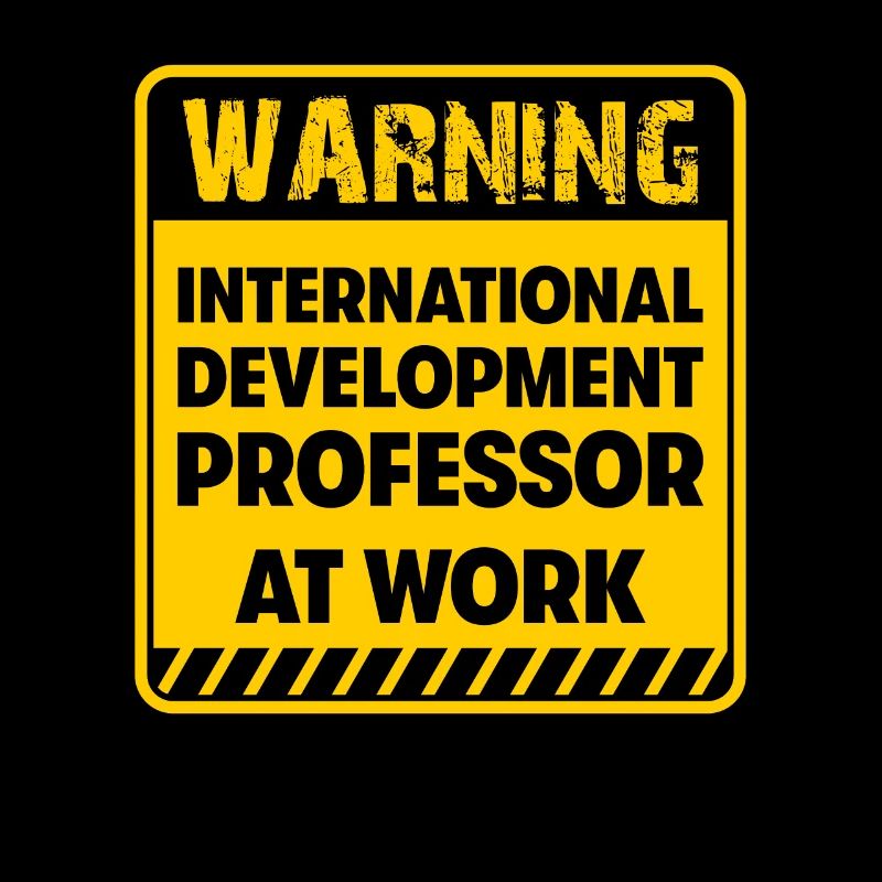 International Development Professor at work