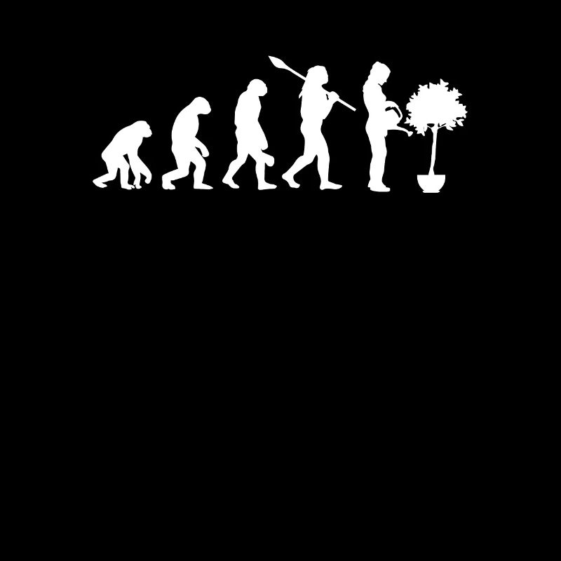 Ficus Evolution Pflanze Gärtner