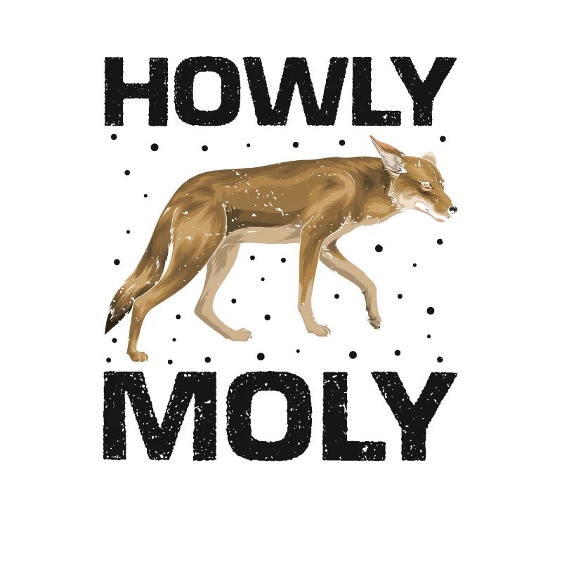 Conception de coyote pour les réacteurs de coyote