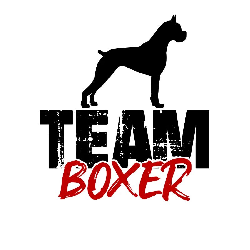 Team Boxer