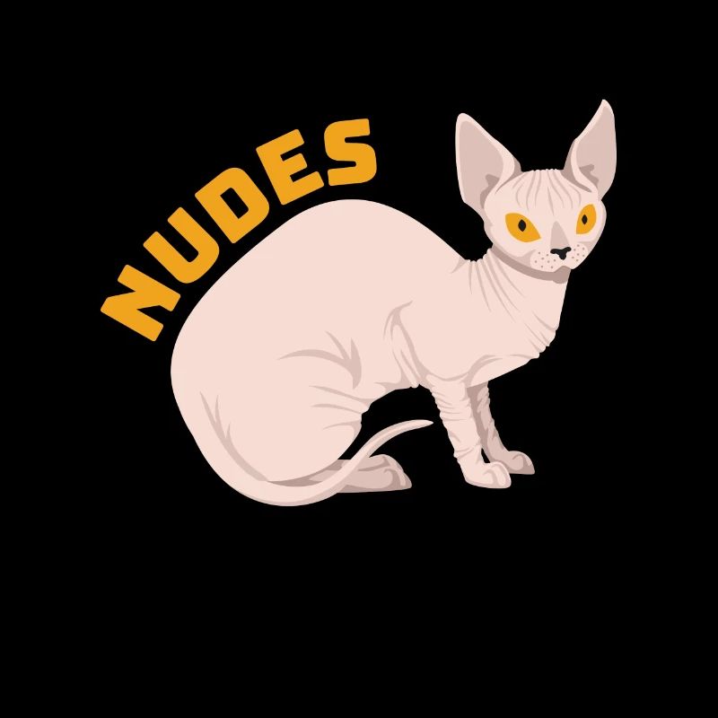 Chaton chat Sphynx nu