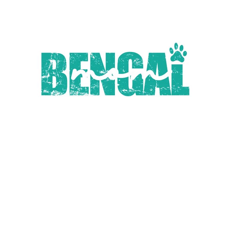 Bengal Maman Race d’animal de compagnie Chat domestique