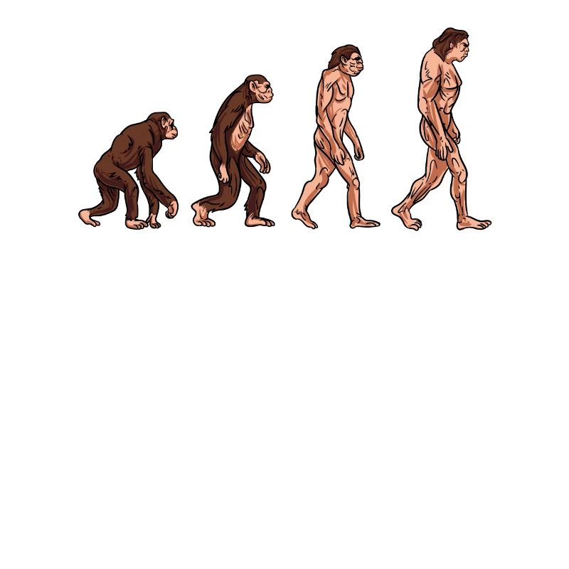 Human evolution