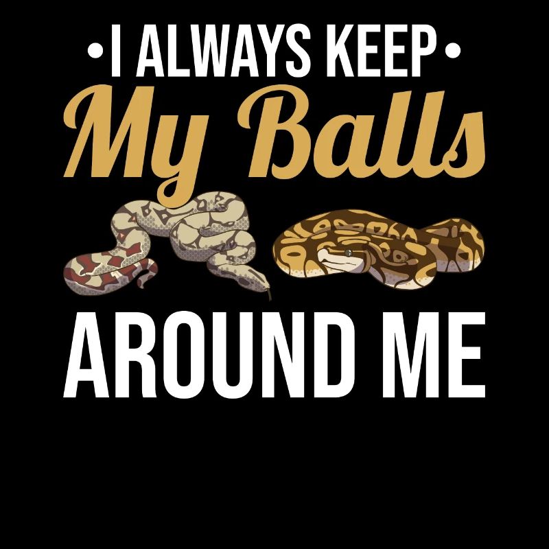 Funny Ball Python Snake