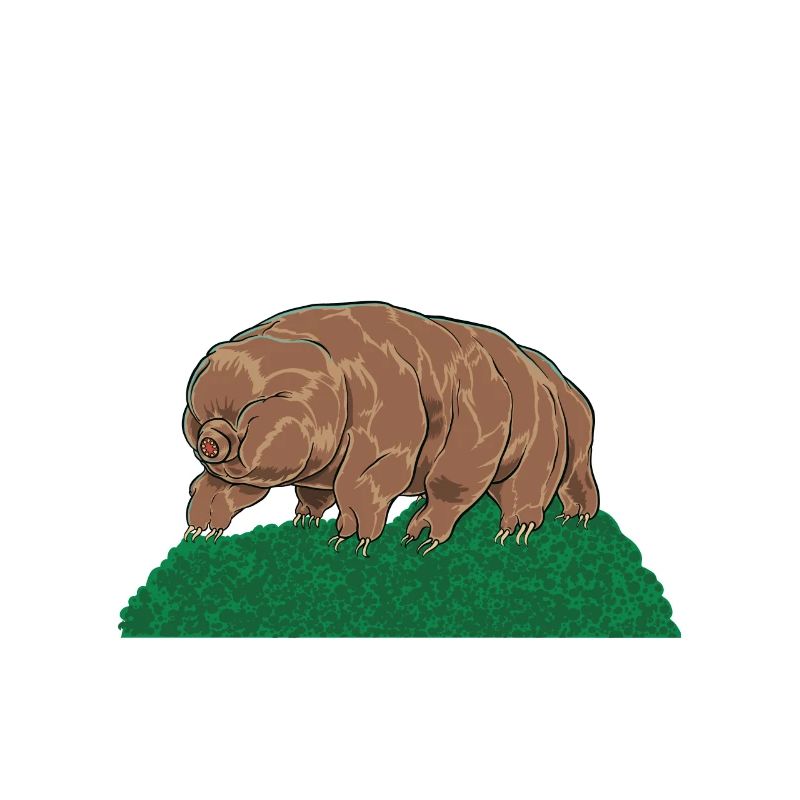 Touch As A Tardigrade Bärtierchen
