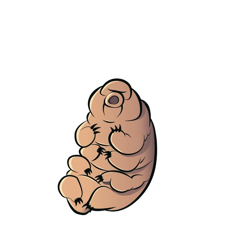 Touch As A Tardigrade Bärtierchen
