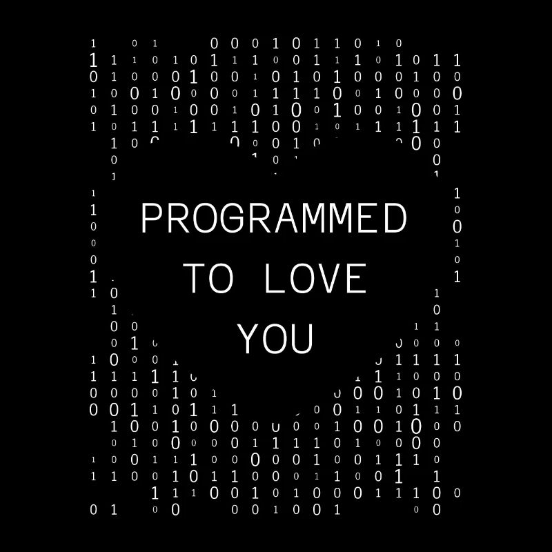 Developer Coder Programmer