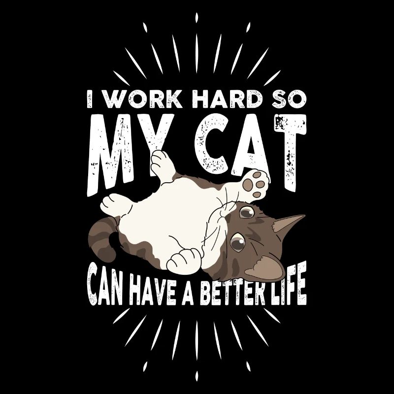 I work hard to give my cat a better