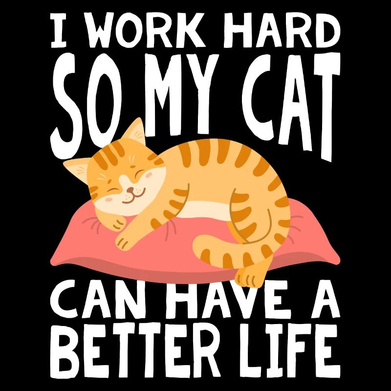 I work hard so that my cat