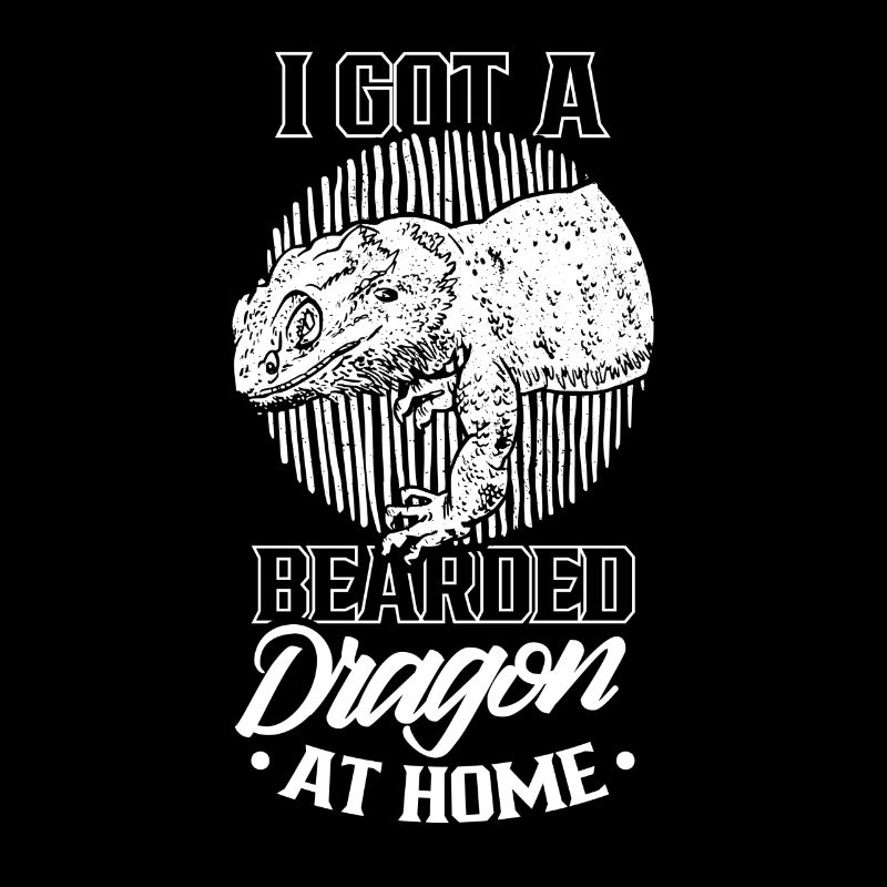 Ich Habe Eine Bartagame Zu Hause Bearded Dragon