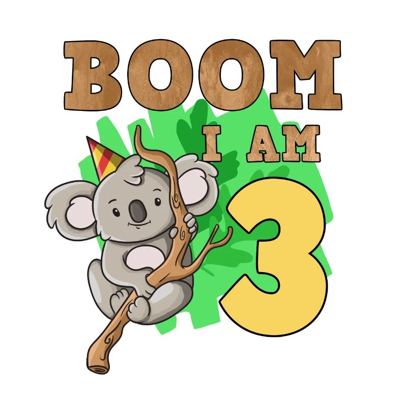3rd birthday koala