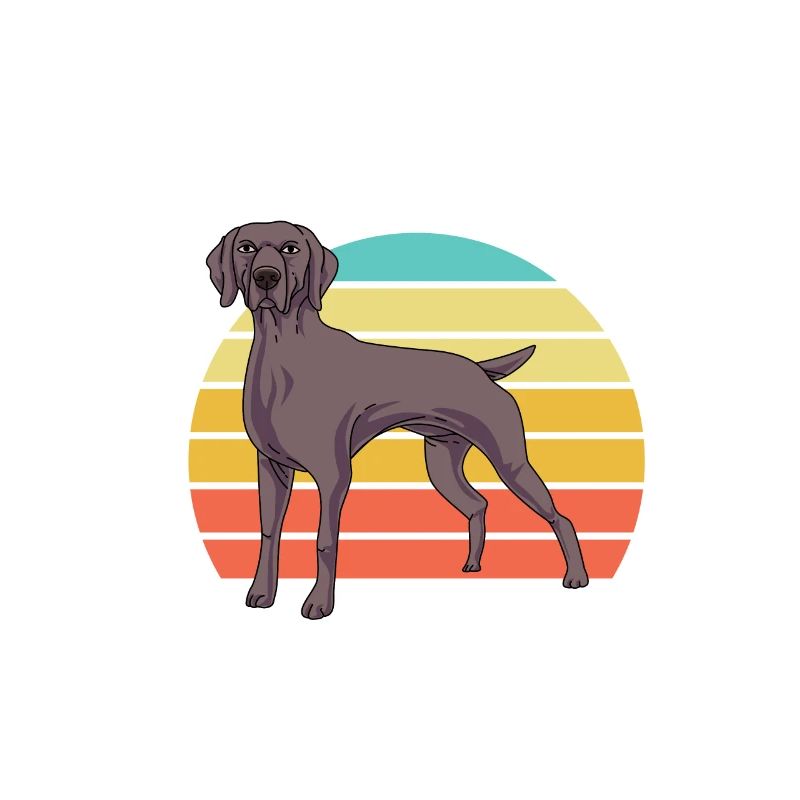 Weimaraner