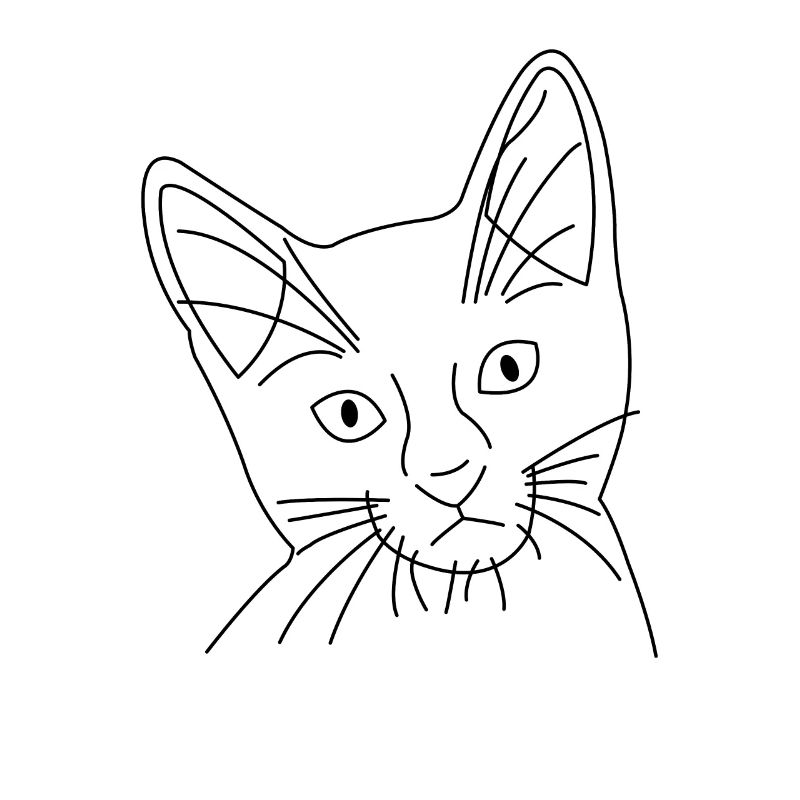 Visage de chat de chat dessiné