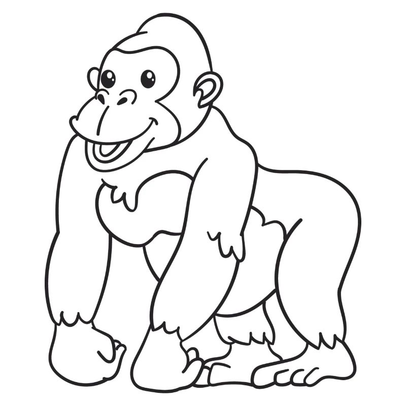 Gorilla, Affe, Geschenk, Geschenkidee